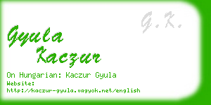 gyula kaczur business card